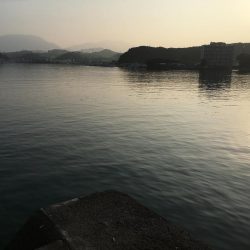 アジ11匹、ツバス1匹、コサバ約200匹