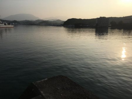 アジ11匹、ツバス1匹、コサバ約200匹