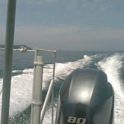 青島近郊でイサキ、グレ釣り