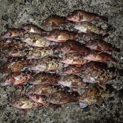 ミッドワインドでサイズアップ！