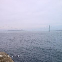 コッパグレ入れ食い