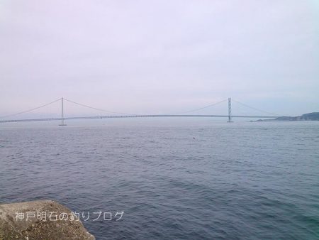 コッパグレ入れ食い