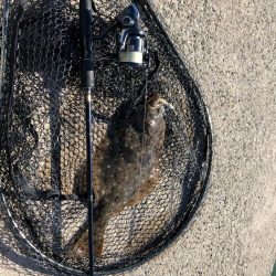 エギングタックル ジグヘッド&ワームで