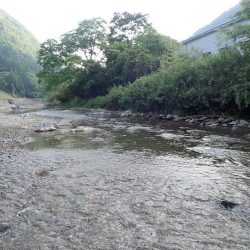 揖保川渓流釣り