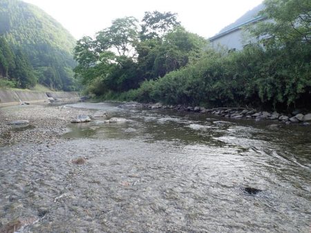 揖保川渓流釣り