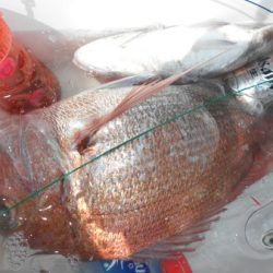 こうゆう丸 釣果