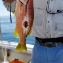 遊漁船 ニライカナイ 釣果