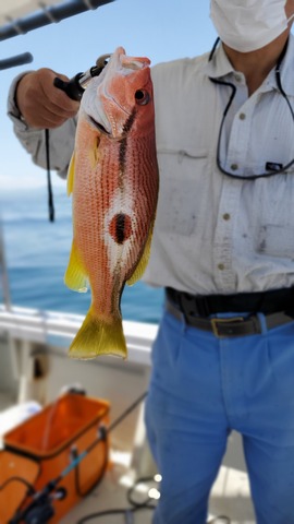 遊漁船 ニライカナイ 釣果
