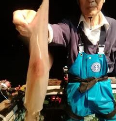 松福丸 釣果