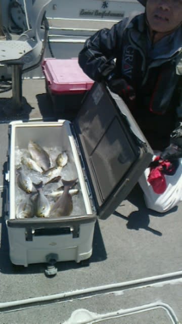 第二大福丸 釣果