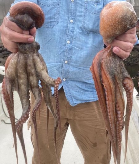 TOPGUN名古屋 釣果