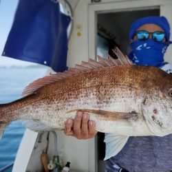 遊漁船 ニライカナイ 釣果