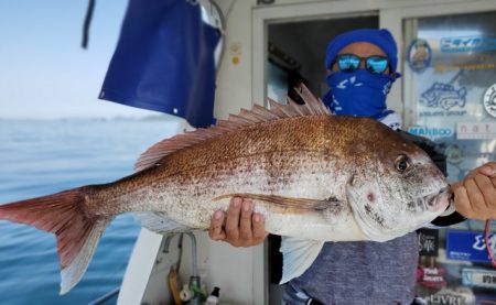 遊漁船　ニライカナイ 釣果