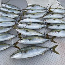 ミタチ丸 釣果