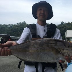 伊豆下田フィッシング 釣果