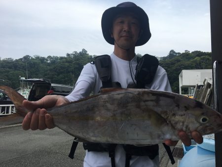 伊豆下田フィッシング 釣果