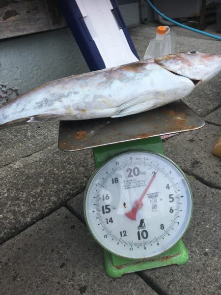 伊豆下田フィッシング 釣果