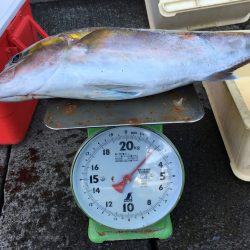 伊豆下田フィッシング 釣果