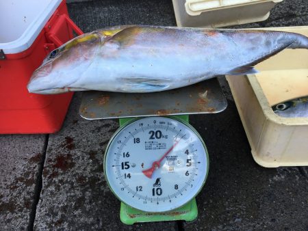 伊豆下田フィッシング 釣果