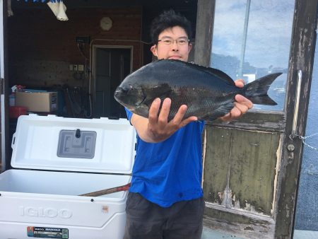 伊豆下田フィッシング 釣果
