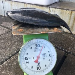 伊豆下田フィッシング 釣果