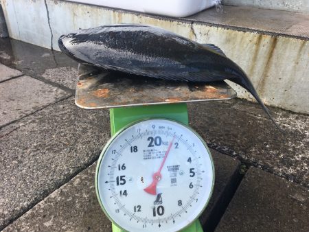 伊豆下田フィッシング 釣果