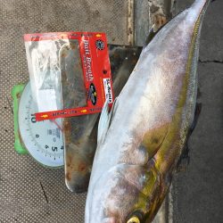 伊豆下田フィッシング 釣果