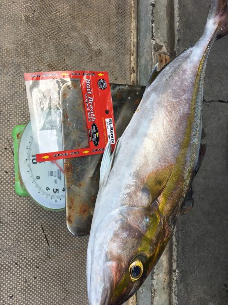 伊豆下田フィッシング 釣果