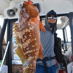 Fisherman Dreams DI 釣果