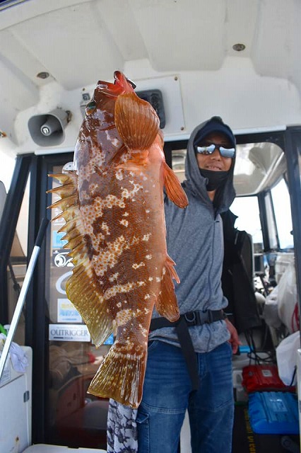 Fisherman Dreams DI 釣果