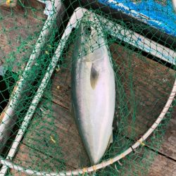 幸吉丸 釣果