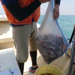 たかみ丸 釣果