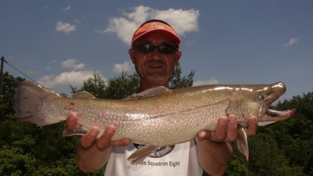 フィッシングレイクたかみや 釣果