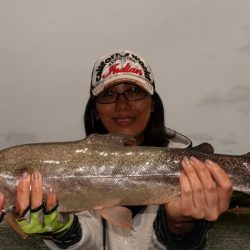 フィッシングレイクたかみや 釣果