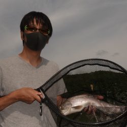 フィッシングレイクたかみや 釣果