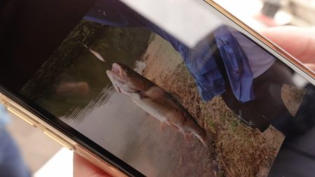 フィッシングレイクたかみや 釣果