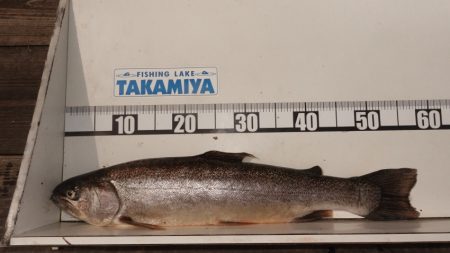 フィッシングレイクたかみや 釣果