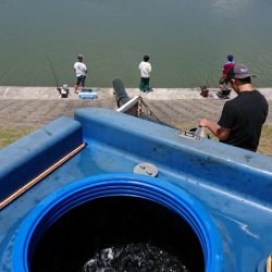 フィッシングレイクたかみや 釣果