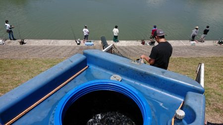 フィッシングレイクたかみや 釣果
