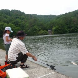 フィッシングレイクたかみや 釣果