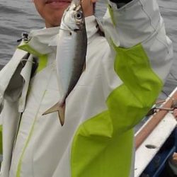 あい川丸 釣果