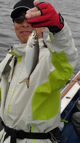 あい川丸 釣果