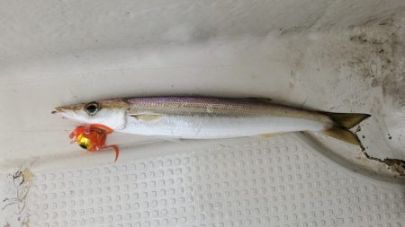 遊漁船 ニライカナイ 釣果