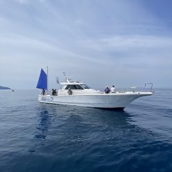 フィッシングボートACE(エース) 釣果