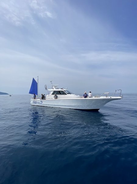 フィッシングボートACE(エース) 釣果