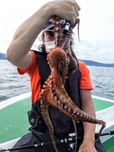 恵比寿丸(兵庫) 釣果