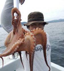 恵比寿丸（兵庫） 釣果