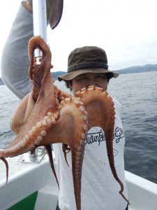 恵比寿丸(兵庫) 釣果