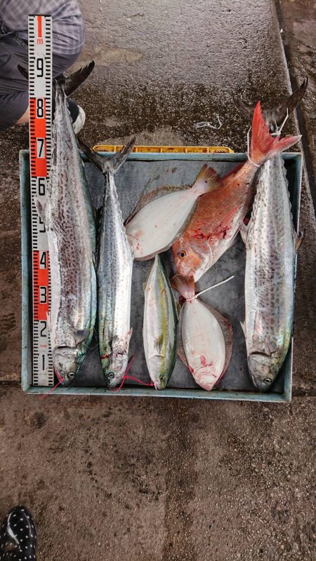 明神釣船 釣果