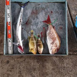 明神釣船 釣果